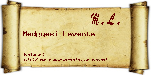 Medgyesi Levente névjegykártya