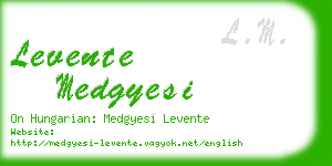 levente medgyesi business card